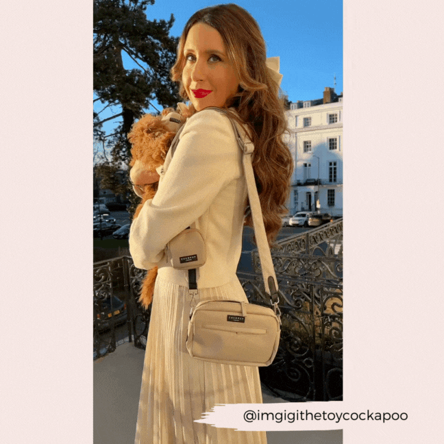 Dog Walking Bag Bundle - Brown Tweed