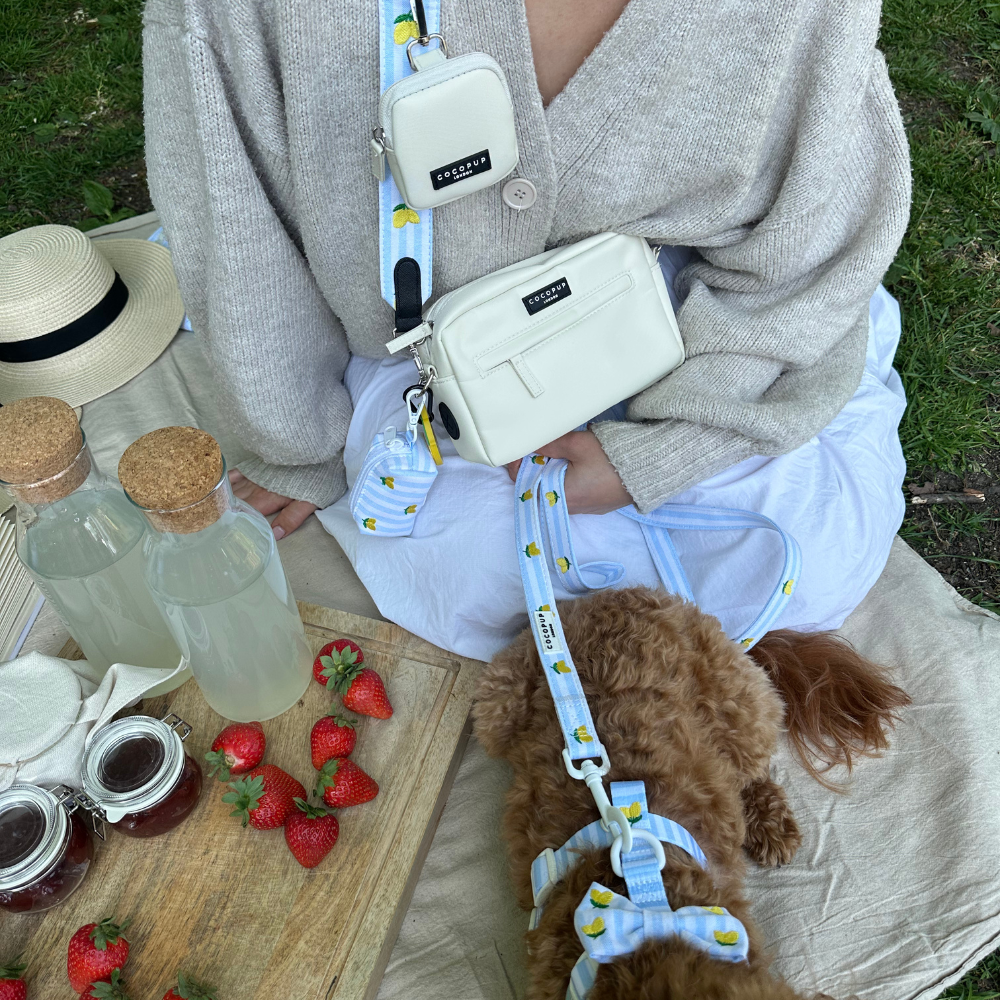 Dog Walking Bag Bundle - Living La Vida Lemon