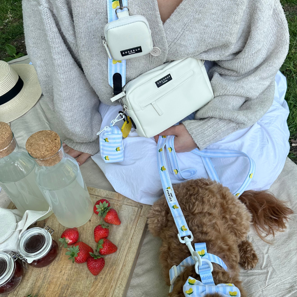 Dog Walking Bag Bundle - Living La Vida Lemon