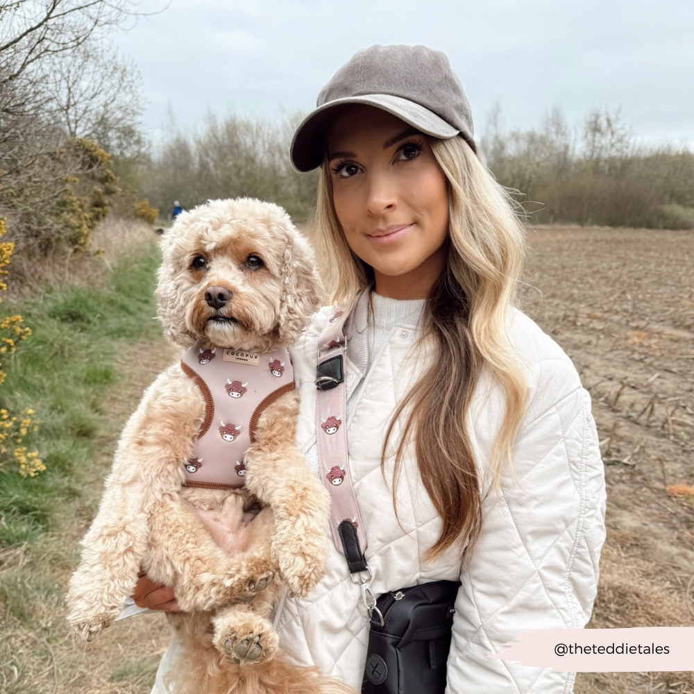 Dog Walking Bag Bundle - Harold the Highland Cow