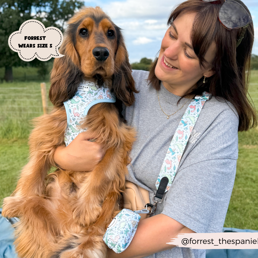 Dog Walking Bag Bundle - Dinopaws