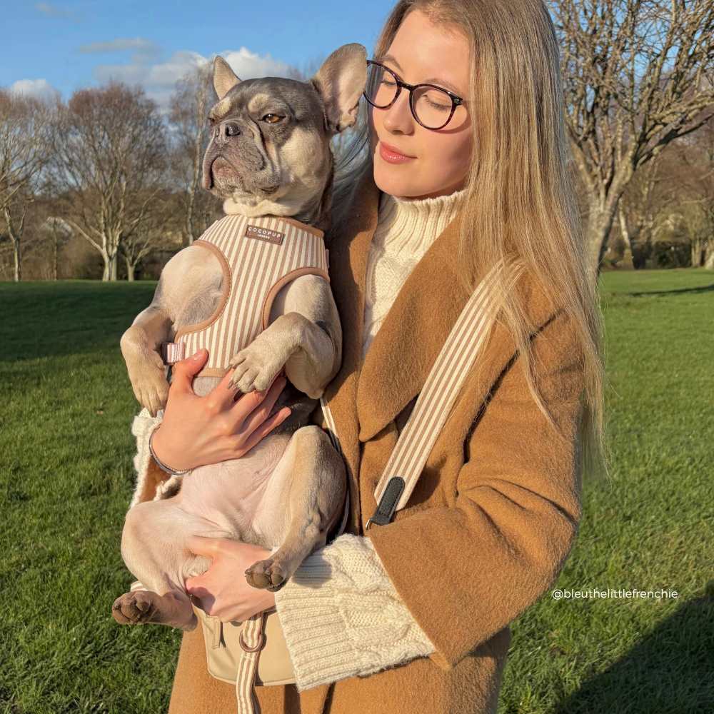 Dog Walking Bag Bundle - London Linen
